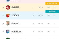 开云体育登录-包含国安主场战平深圳佳兆业,保持不败战绩的词条