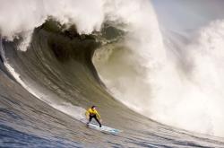 开云体育-詹姆斯空砍40+三双，步行者末节一波流击溃湖人