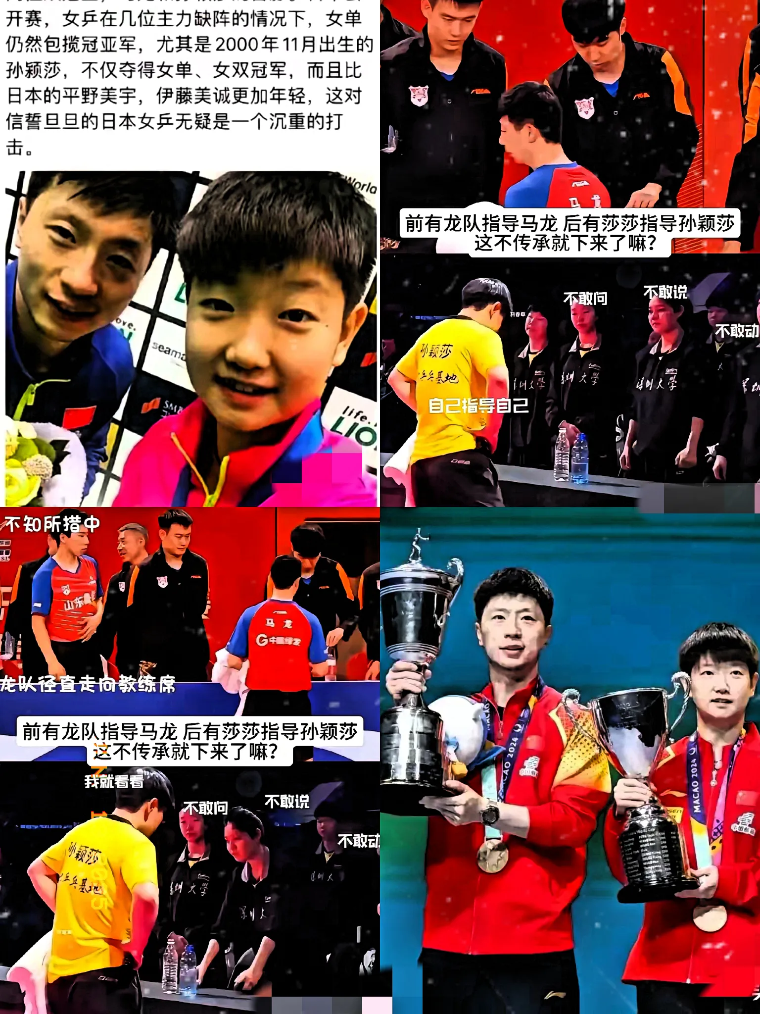 波兰乒乓球队逆转比利时乒乓球队，马龙爆发神勇的简单介绍