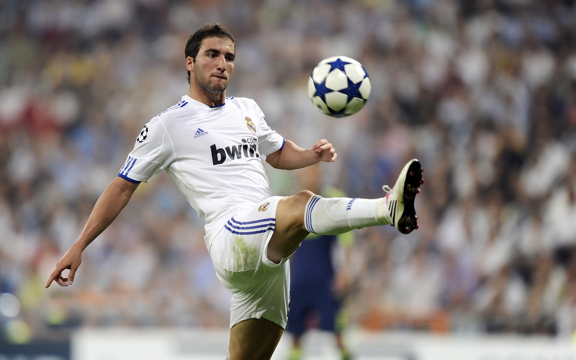 南美风暴席卷东欧，努涅斯一锤定音，巴西强行终结波兰黄金时代