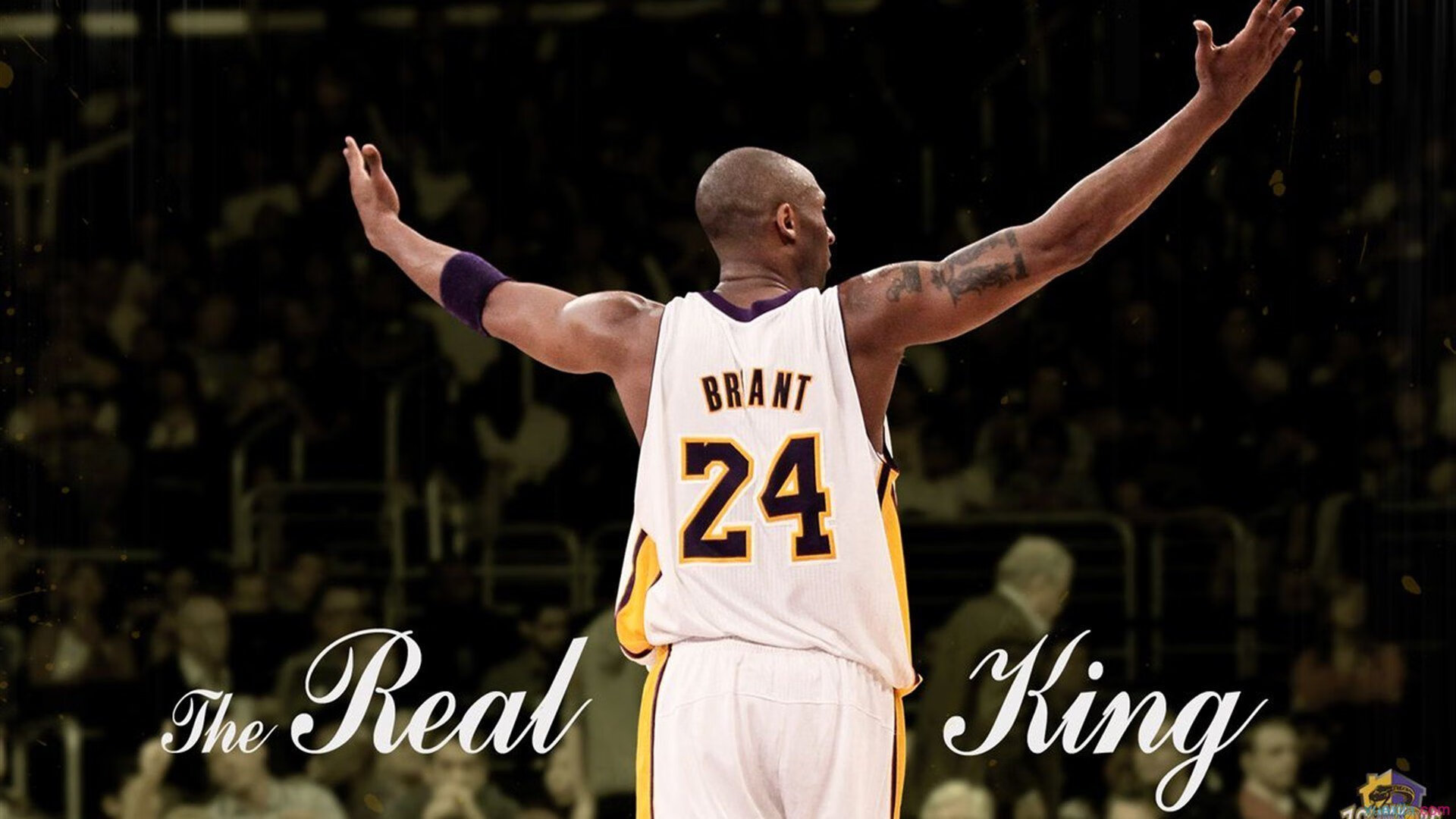 冰火交锋，吉林队力克森林狼，约基奇化身关键先生定乾坤