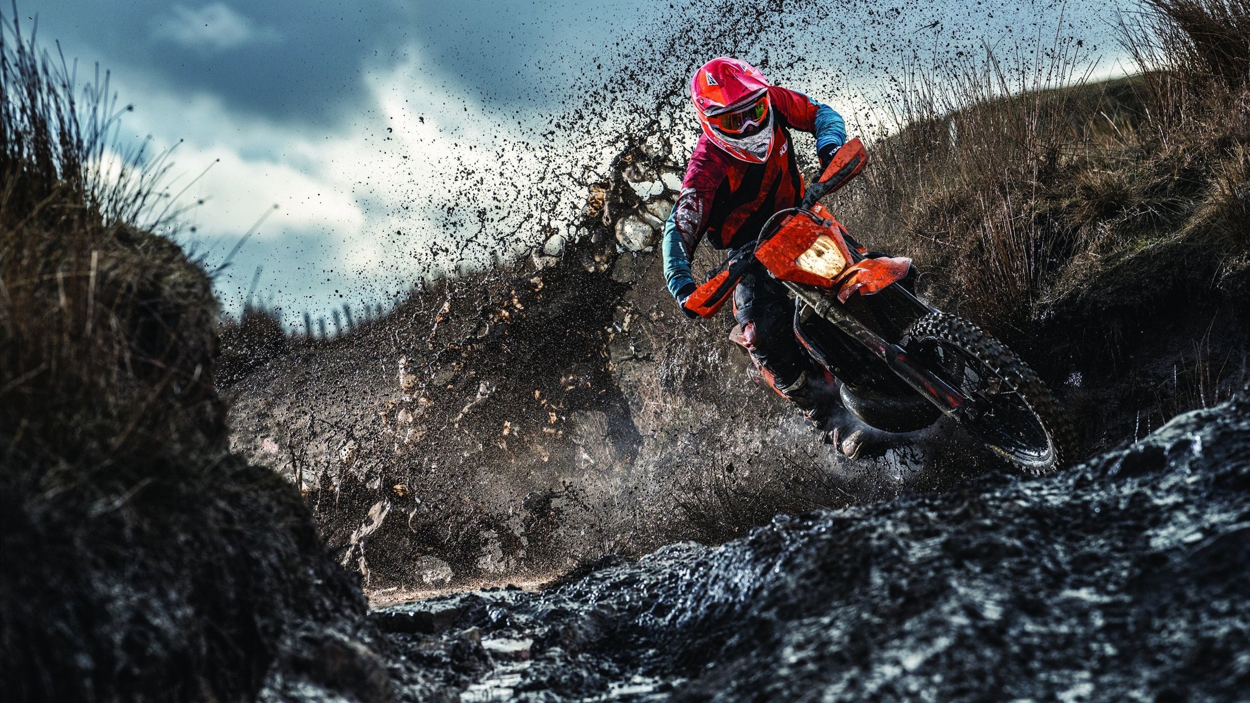 新王加冕!联合杯横扫戴维斯杯,德约科维奇点燃时代更替的赛场